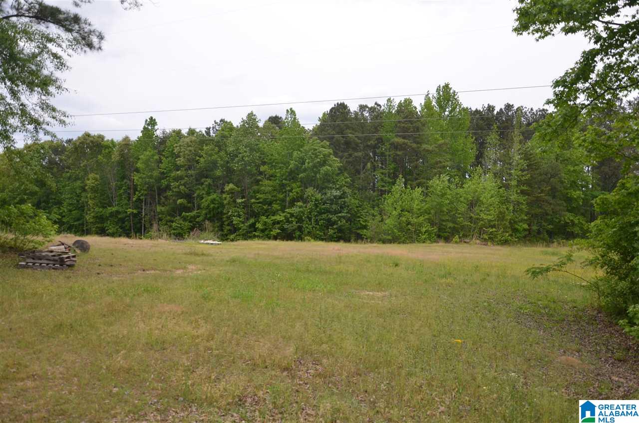 5081 Bluff Creek Ridge Adamsville, AL 35005 - Photo 9 of 28