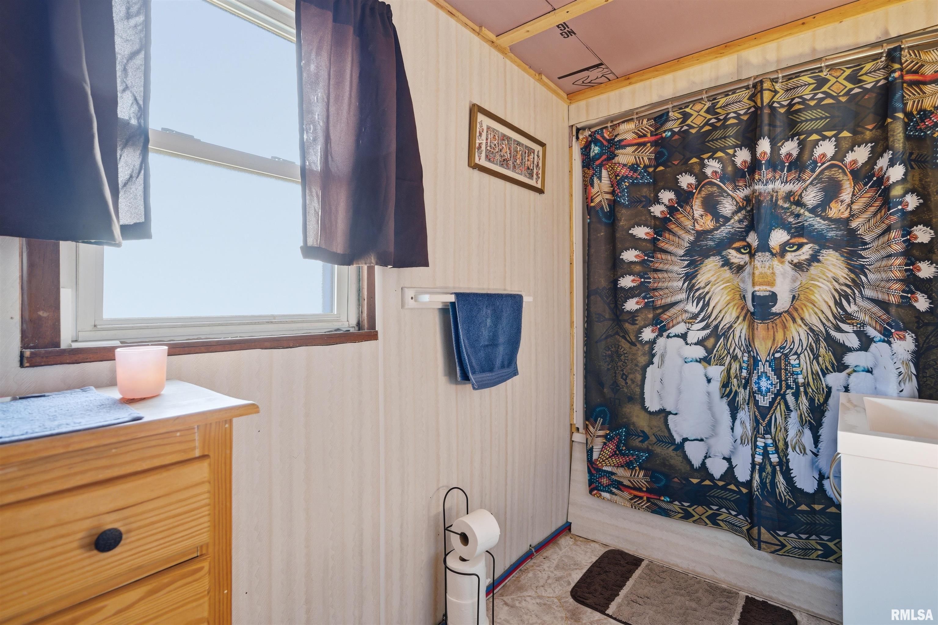 736 Washington Street Minonk, IL 61760 - Photo 10 of 20