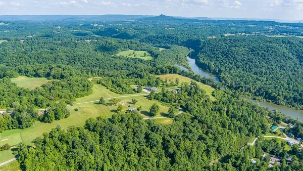 a view of a lush green forest with trees and some houses