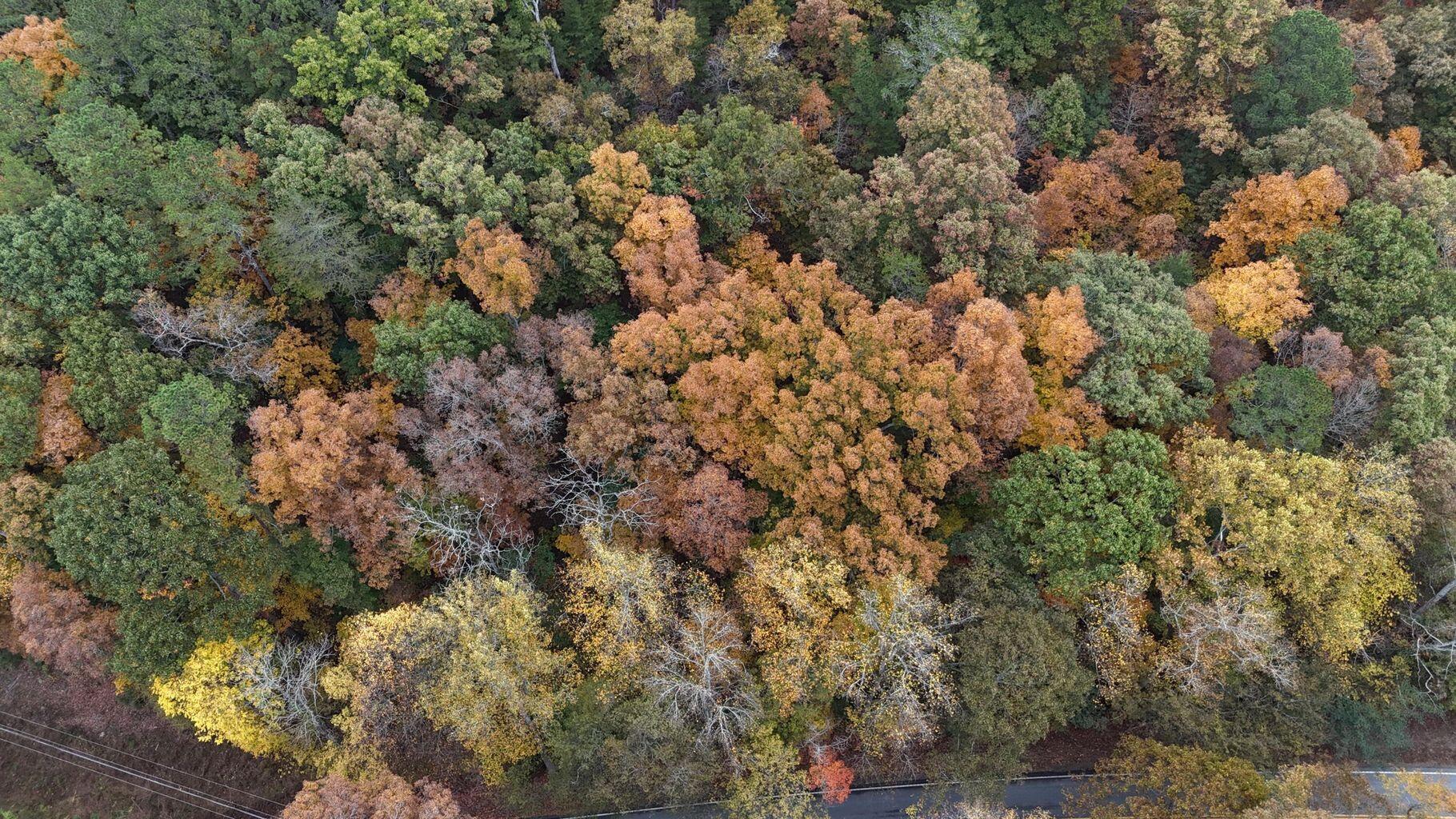 0 Lower River Road Northwest Georgetown, TN 37336 - Photo 13 of 13 20250708155327467178000000-o