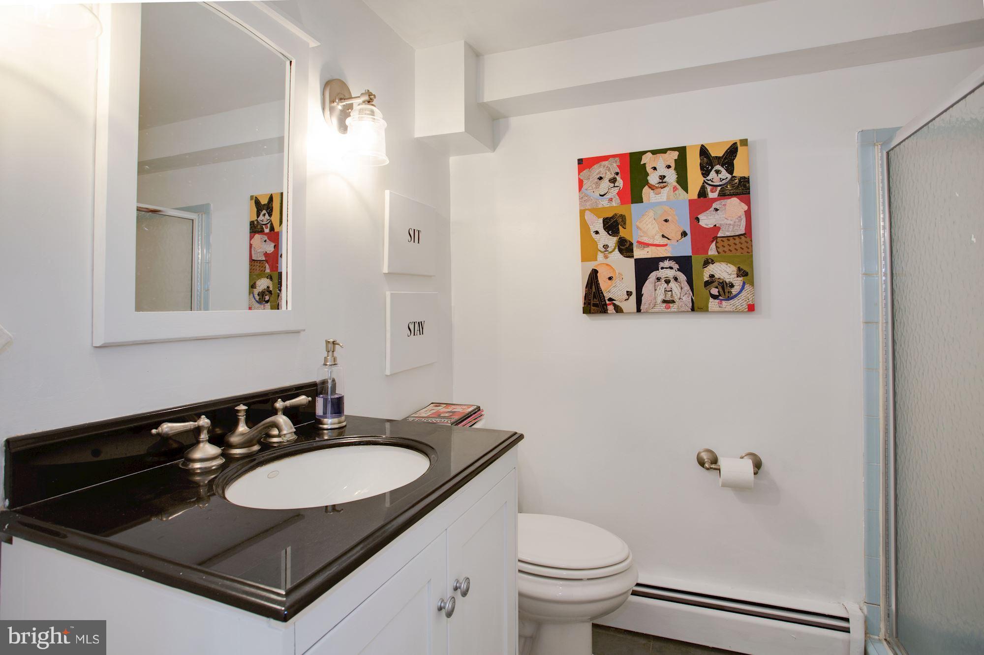 300 Adahi Road Southeast Vienna, VA 22180 - Photo 16 of 28 BathFull bath on main level