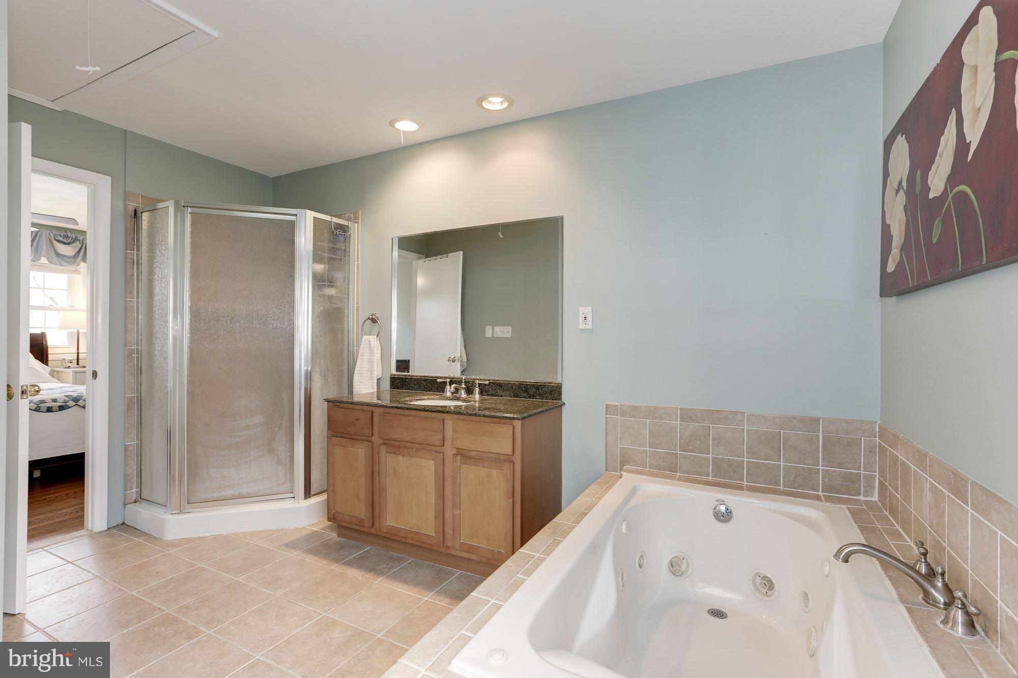 300 Adahi Road Southeast Vienna, VA 22180 - Photo 19 of 28 Bath (Master)
