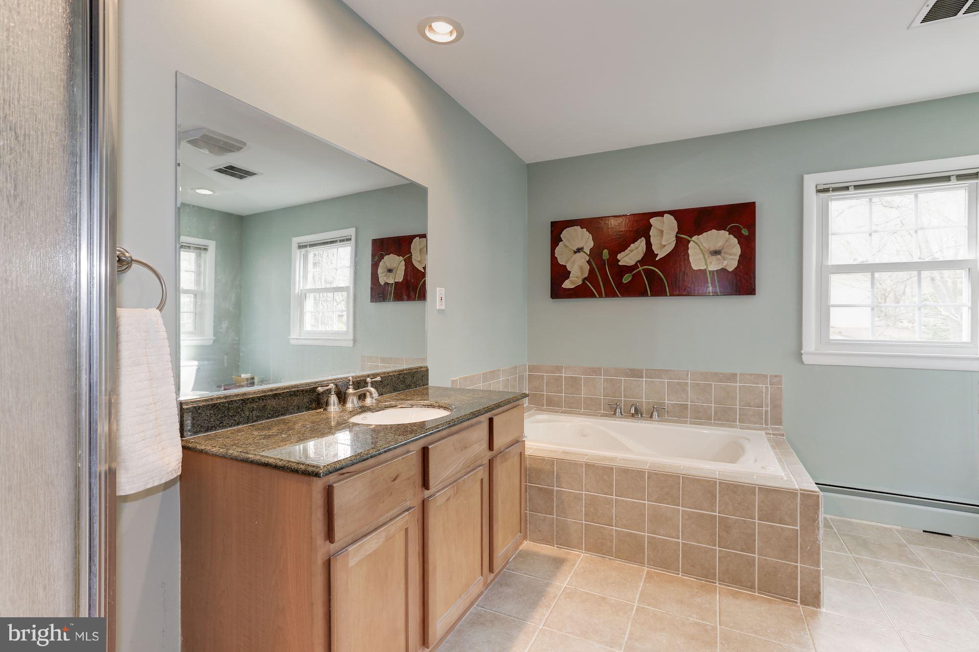 300 Adahi Road Southeast Vienna, VA 22180 - Photo 20 of 28 Bath (Master)