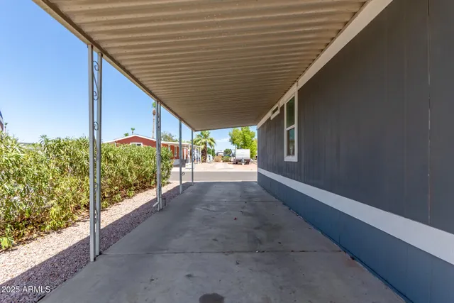 a view of backyard with potted plants