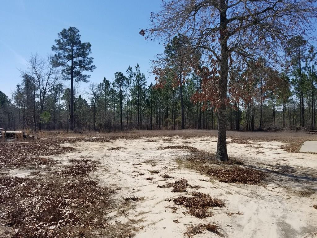 1167 Colbert Bridge Road Aiken, SC 29803 - Photo 6 of 7