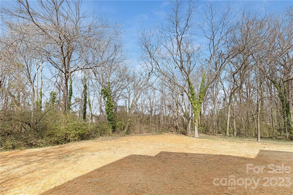 20 Rose Street York, SC 29745 - Photo 22 of 22 a view of road and trees