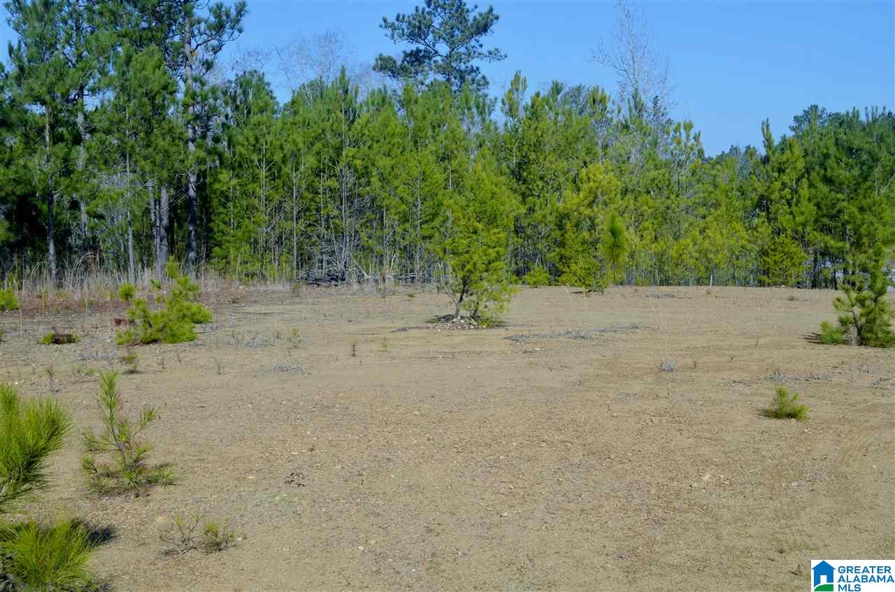 Stillwaters Trail, Unit 179 Sylacauga, AL 35151 - Photo 16 of 20
