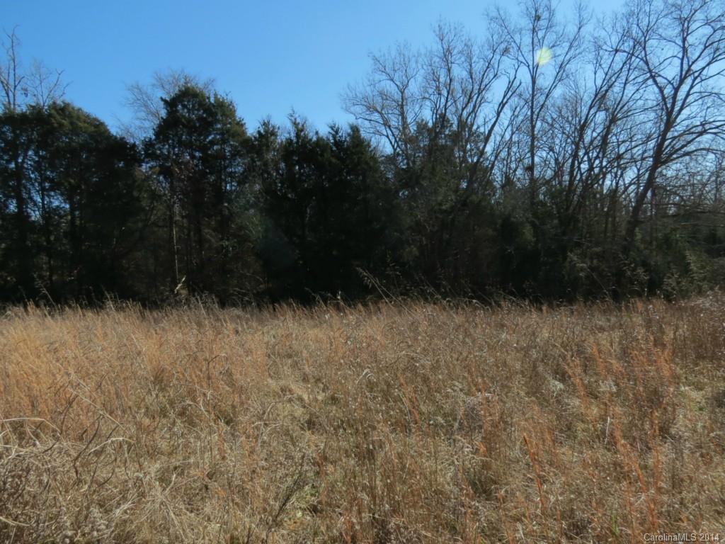 5.0-ac Wycoff Road Sharon, SC 29742 - Photo 11 of 12 a view of outdoor space and green space