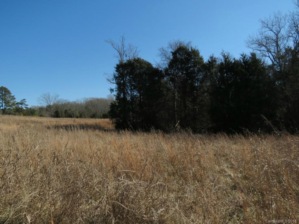 5.0-ac Wycoff Road Sharon, SC 29742 - Photo 12 of 12 a view of lake with green space