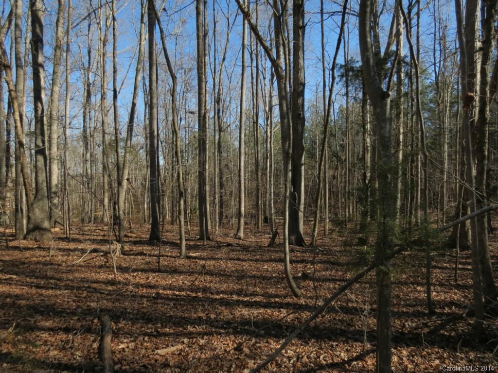 5.0-ac Wycoff Road Sharon, SC 29742 - Photo 3 of 12 a view of a backyard with a chair
