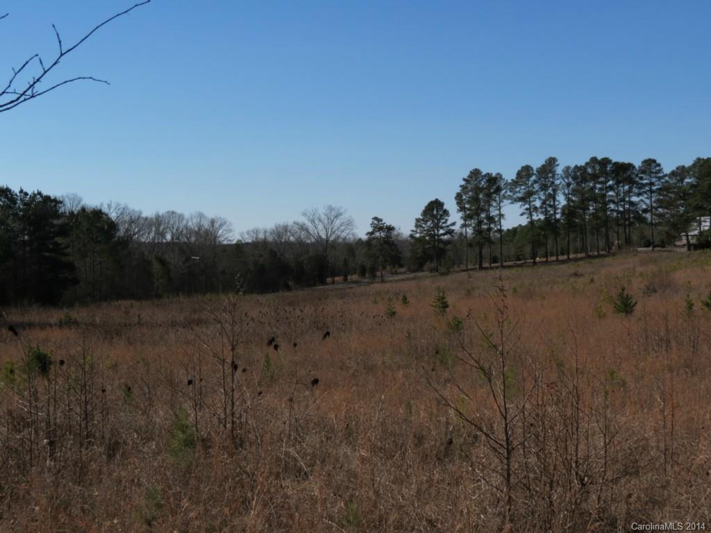 5.0-ac Wycoff Road Sharon, SC 29742 - Photo 5 of 12