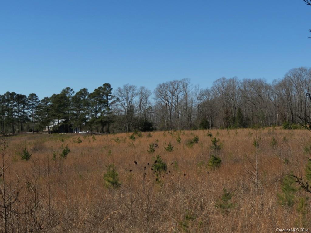 5.0-ac Wycoff Road Sharon, SC 29742 - Photo 6 of 12 a view of outdoor space and trees