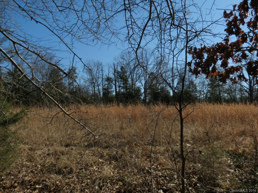5.0-ac Wycoff Road Sharon, SC 29742 - Photo 7 of 12 a view of lake with green space