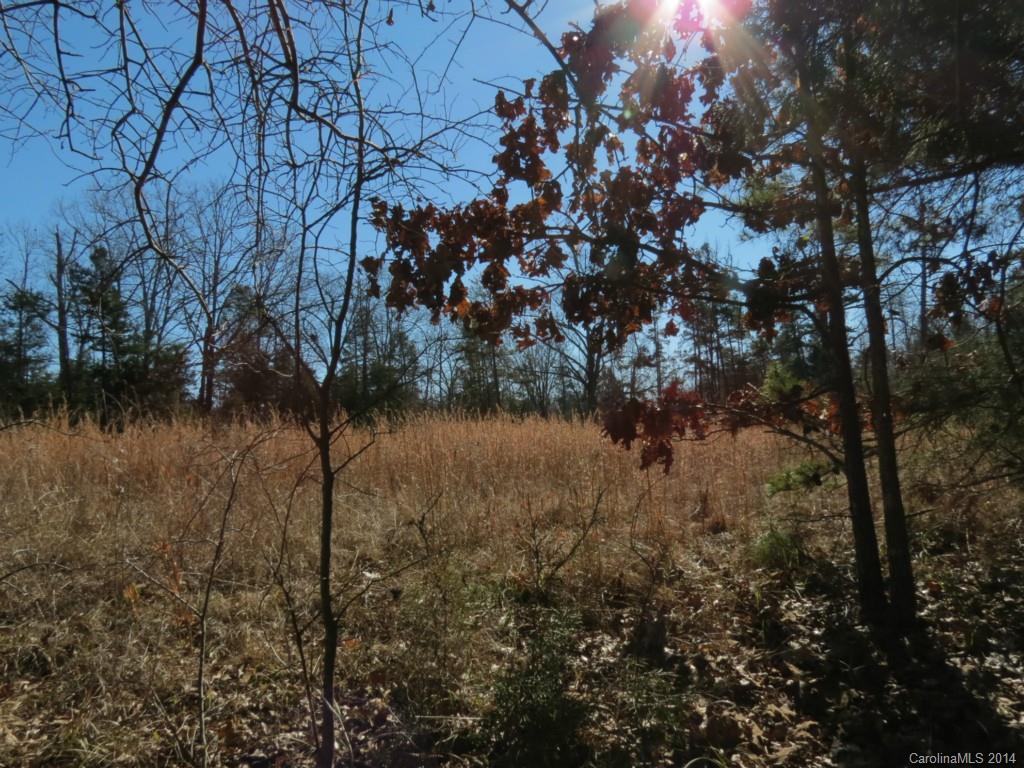 5.0-ac Wycoff Road Sharon, SC 29742 - Photo 8 of 12 a view of a lake in middle of forest