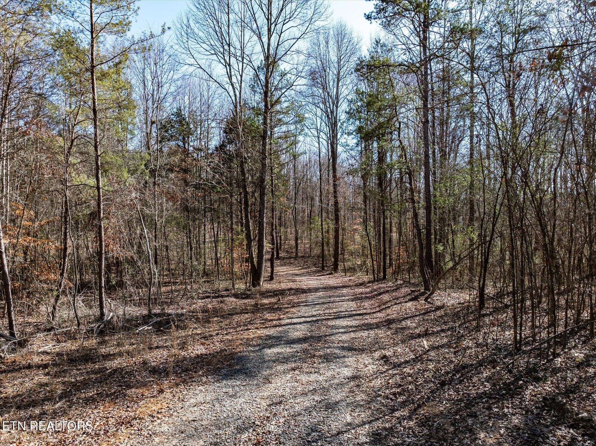 8 County Road 784 Etowah, TN 37331 - Photo 5 of 28