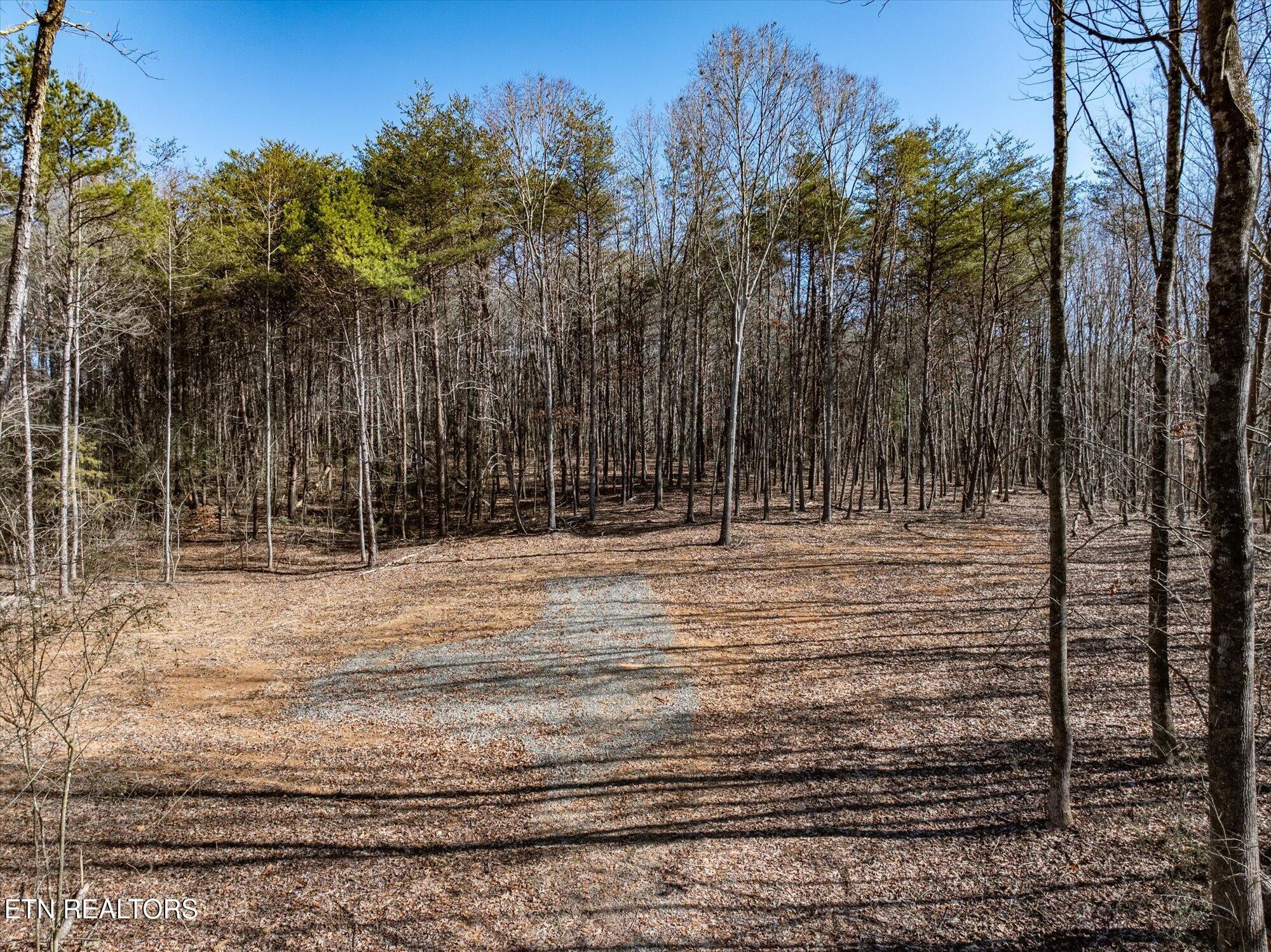 8 County Road 784 Etowah, TN 37331 - Photo 6 of 28