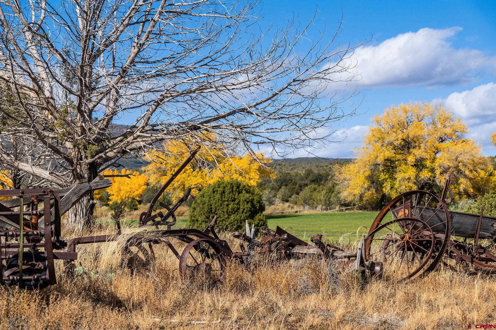 2997 20.5 Road Cortez, CO 81321 - Photo 16 of 27 Gallery Image 16
