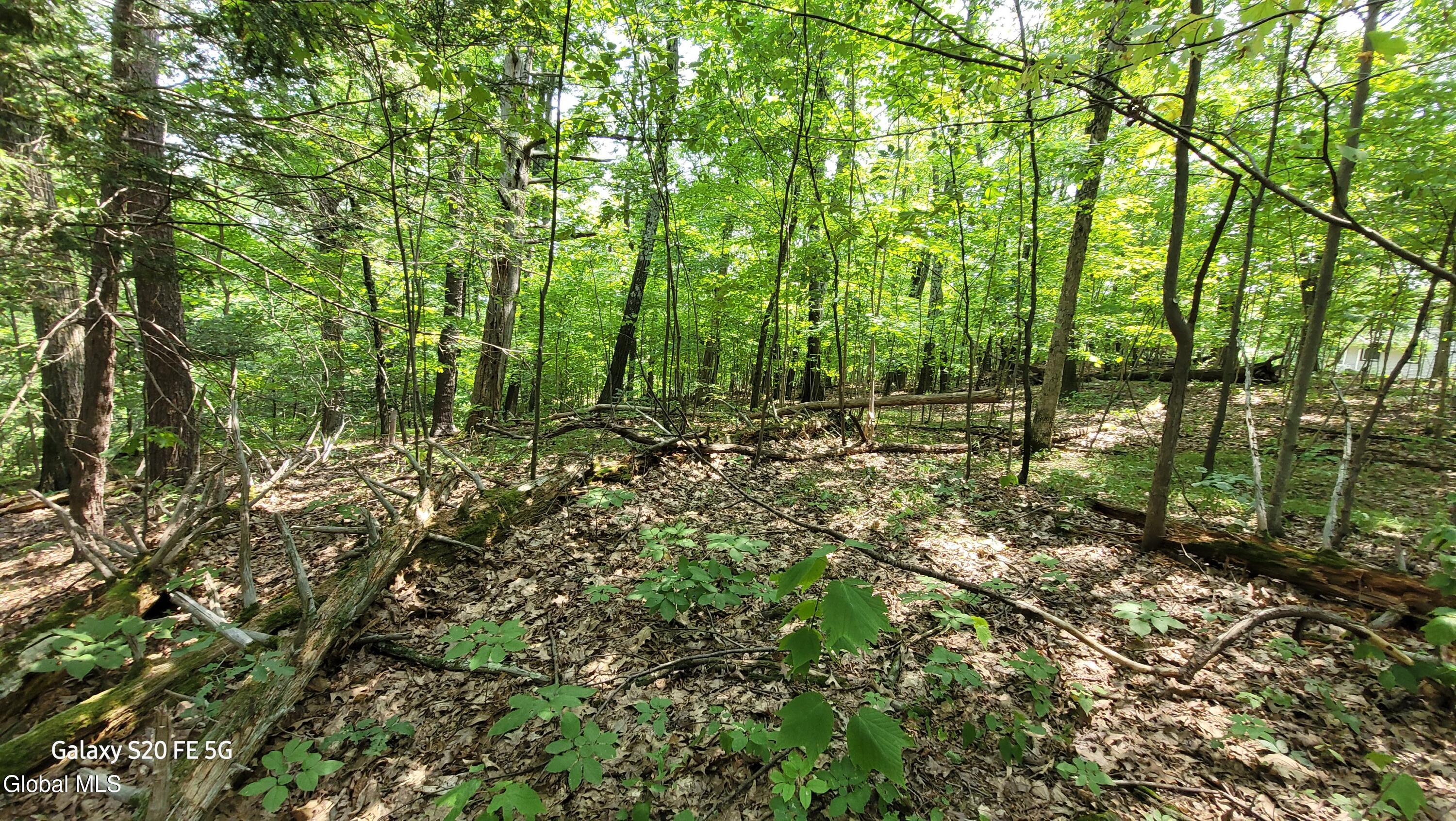 50 Finger Hill Road Saugerties, NY 12477 - Photo 1 of 7 20240728_125740