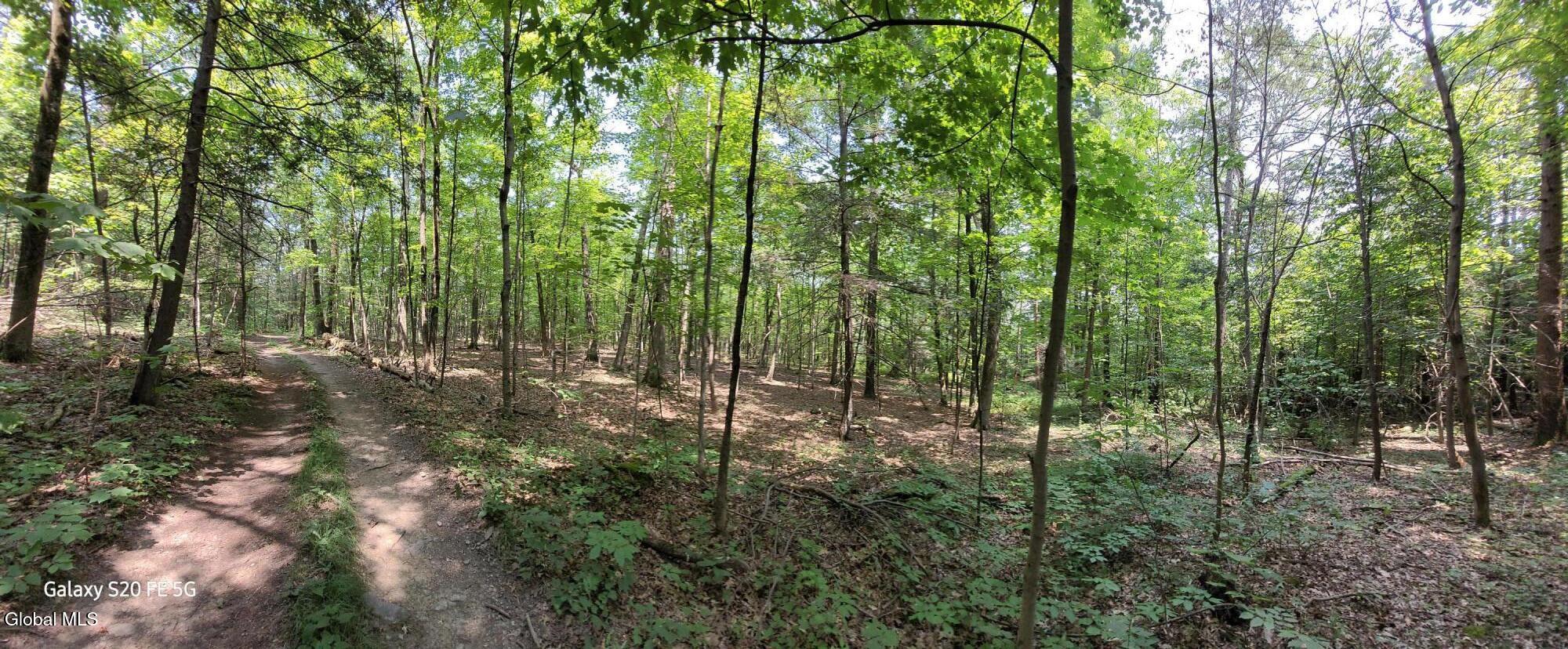 50 Finger Hill Road Saugerties, NY 12477 - Photo 2 of 7 20240728_130252