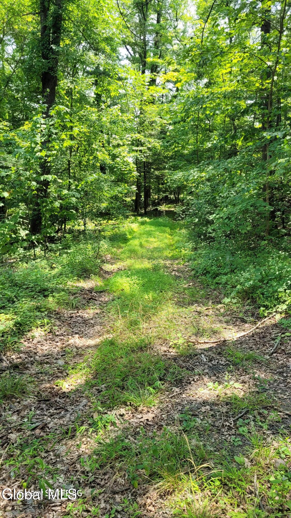 50 Finger Hill Road Saugerties, NY 12477 - Photo 3 of 7 20240728_125516