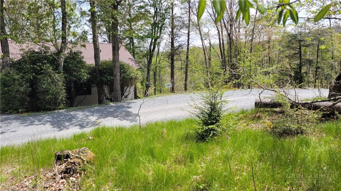 112 Foxgrape Hollow Road Beech Mountain, NC 28604 - Photo 2 of 4 a view of backyard with green space