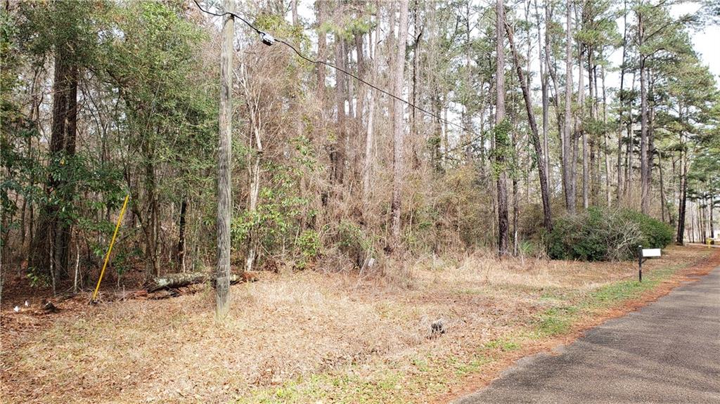 36711 Albin Road Independence, LA 70443 - Photo 3 of 4 Gallery Image 3