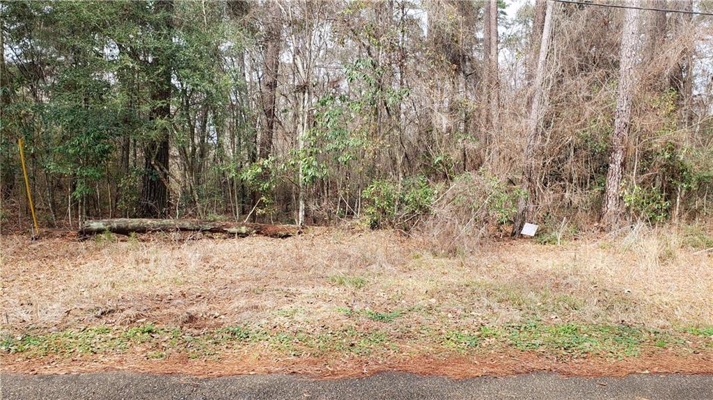 36711 Albin Road Independence, LA 70443 - Photo 4 of 4 Gallery Image 4
