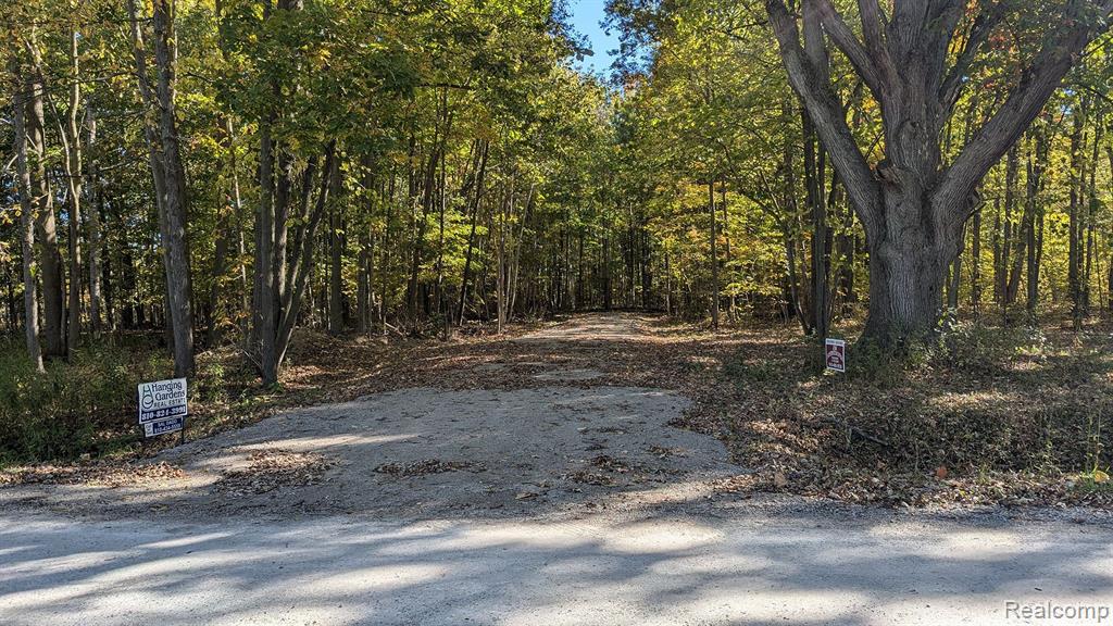 200 Nolan Road Goodells, MI 48027 - Photo 8 of 12