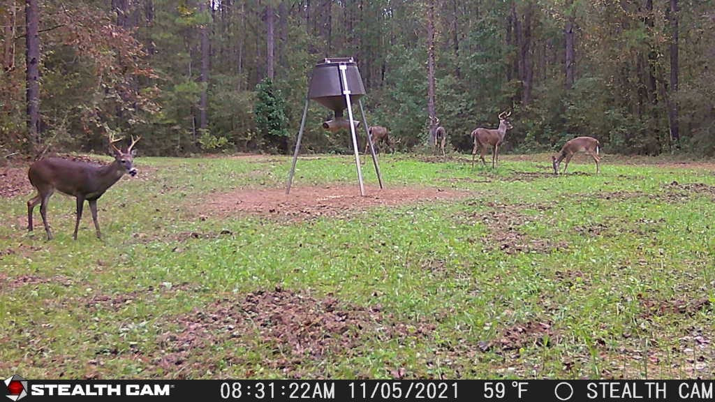 1401 Trask Road Centreville, MS 39631 - Photo 29 of 47 Photo 29