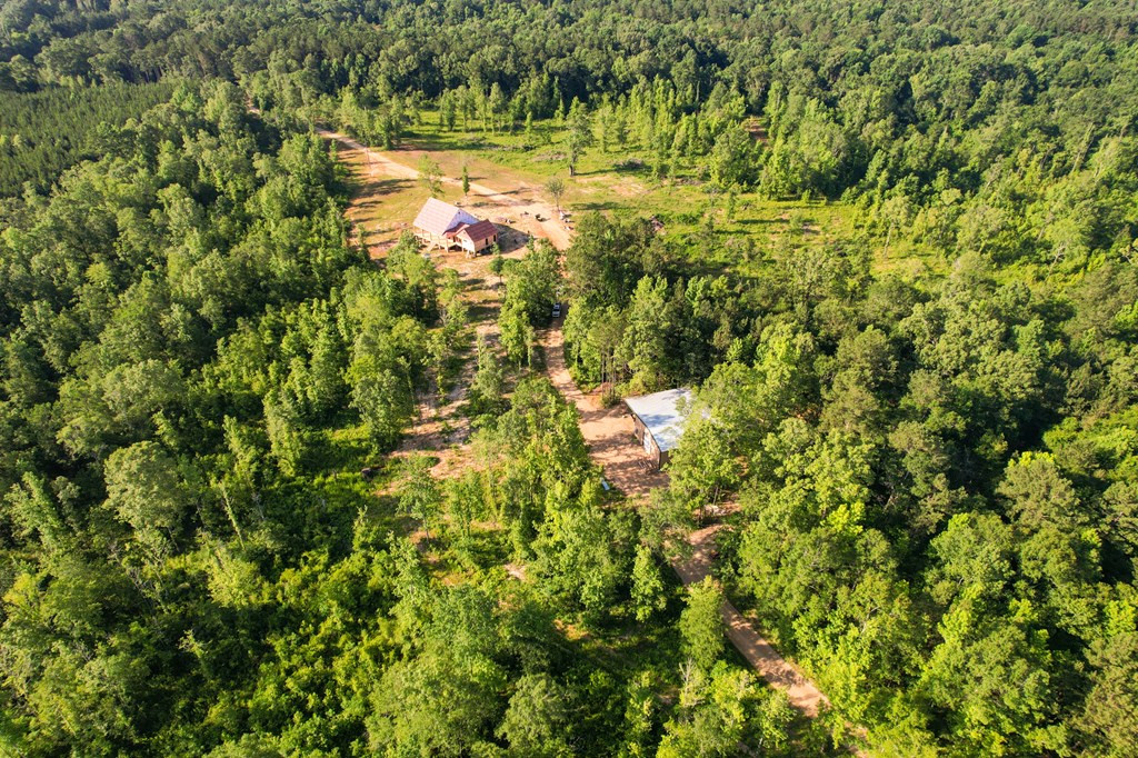 1401 Trask Road Centreville, MS 39631 - Photo 3 of 47 Photo 3
