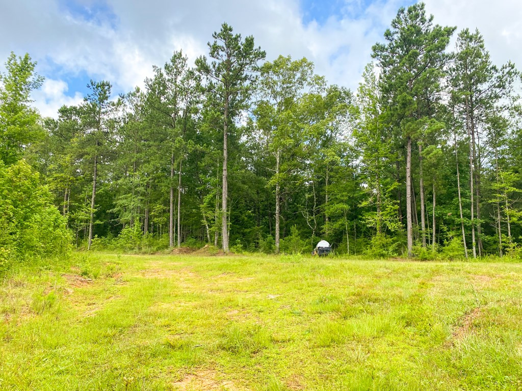 1401 Trask Road Centreville, MS 39631 - Photo 33 of 47 Photo 33