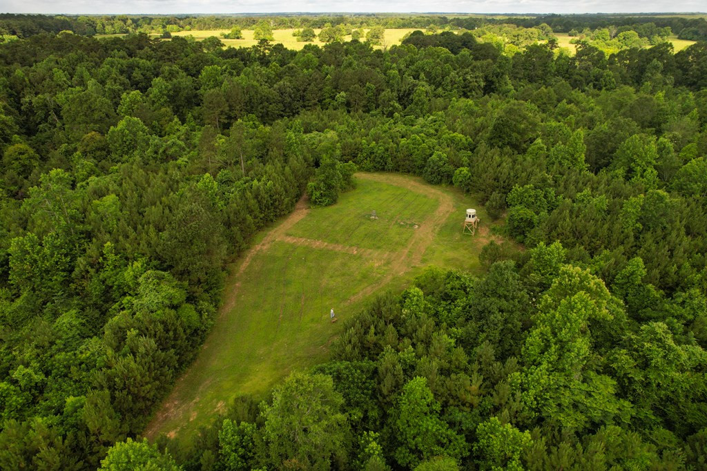 1401 Trask Road Centreville, MS 39631 - Photo 34 of 47 Photo 34