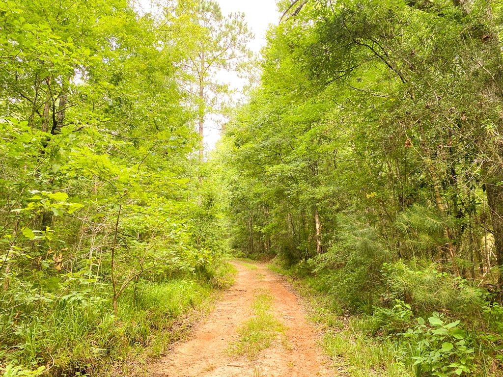 1401 Trask Road Centreville, MS 39631 - Photo 36 of 47 Photo 36