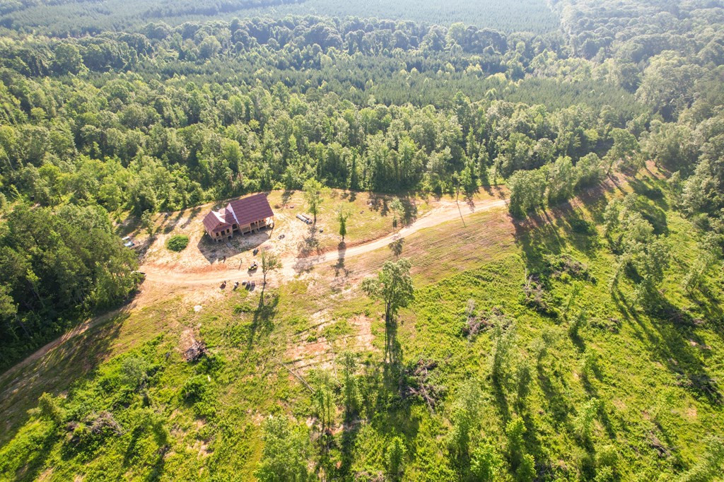 1401 Trask Road Centreville, MS 39631 - Photo 4 of 47 Photo 4