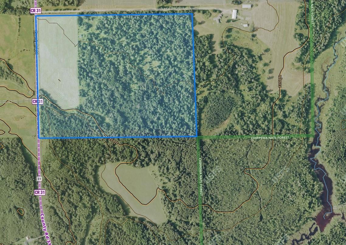 31 Pomroy Twp Mn 56688 Wirt, MN 56688 - Photo 12 of 20