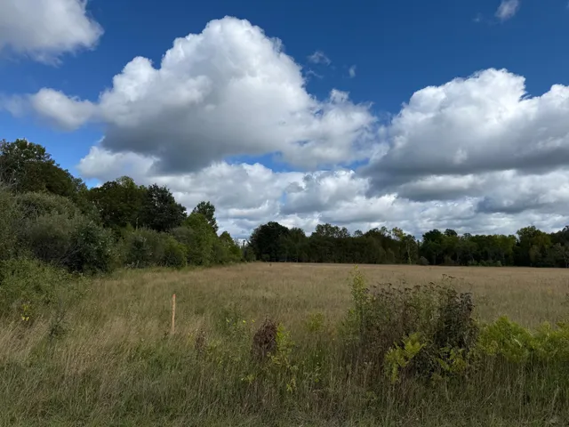 $139,900 | 31 Pomroy Twp Mn 56688, Wirt, MN 56688