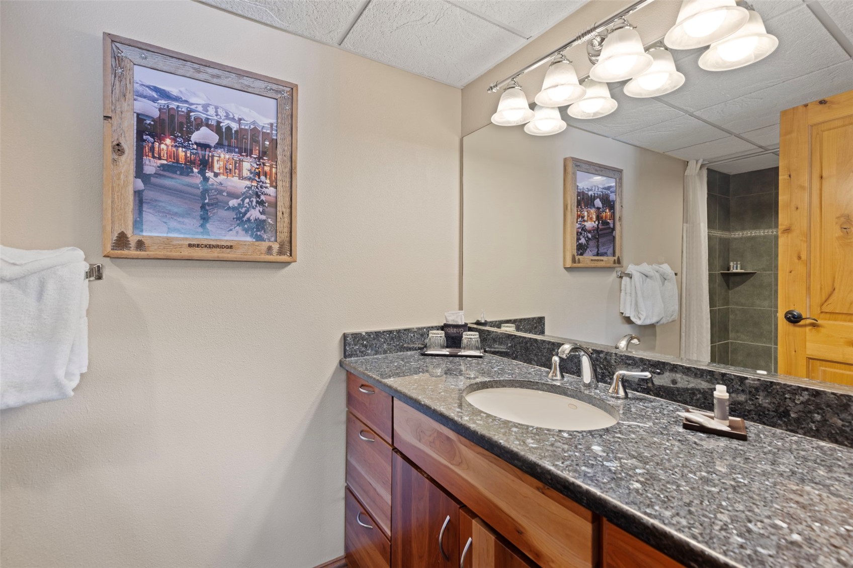 631 Village Road, Unit 34420 Breckenridge, CO 80424 - Photo 21 of 40 Primary bathroom
