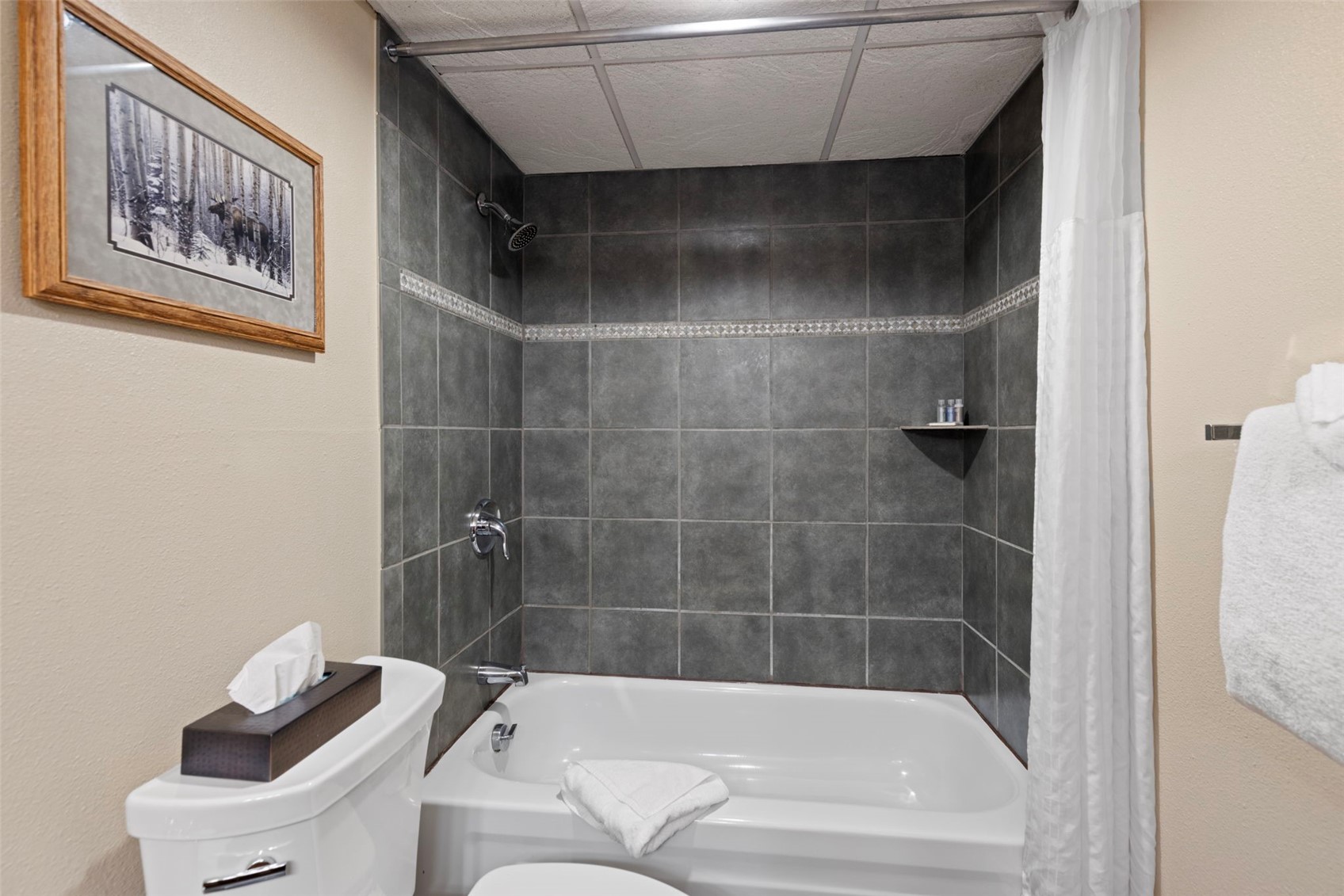 631 Village Road, Unit 34420 Breckenridge, CO 80424 - Photo 23 of 40 Bathroom #2