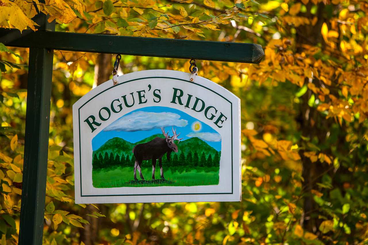 17 Rogue's Ridge Winhall, VT 05340 - Photo 37 of 37