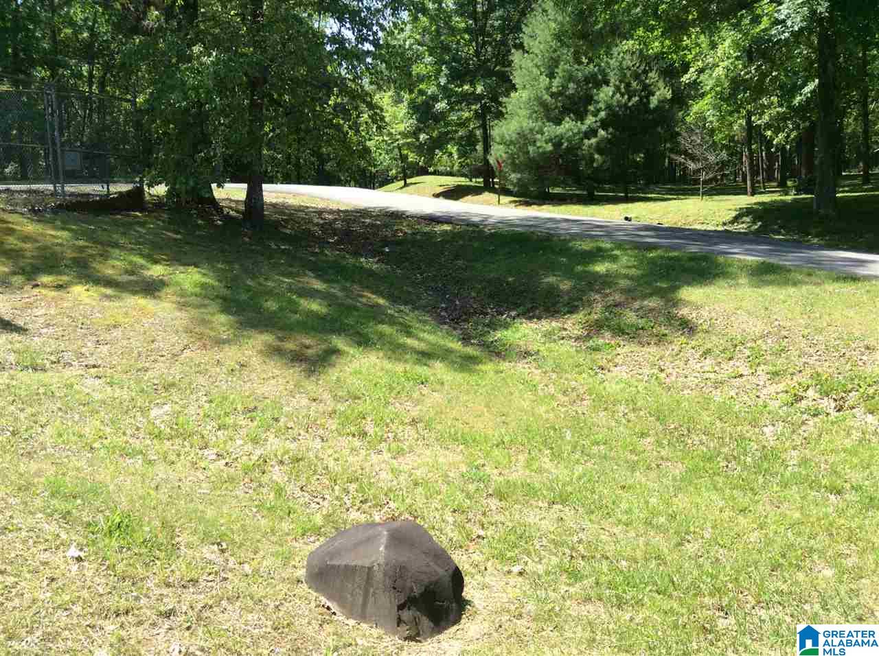 0 County Road 89, Unit 1 Mentone, AL 35984 - Photo 5 of 10