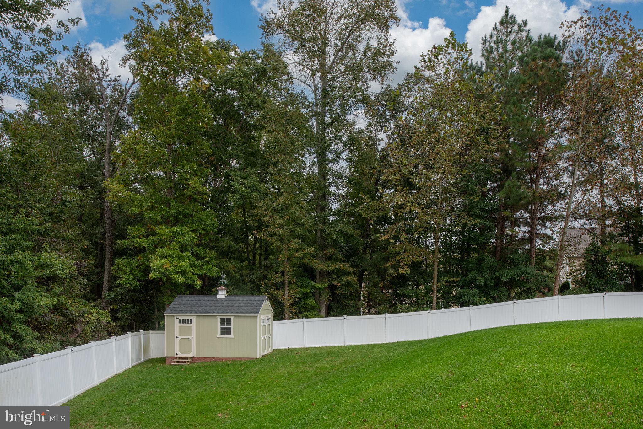 8401 Foster Ridge Terrace Moseley, VA 23120 - Photo 86 of 104 Gallery Image 86