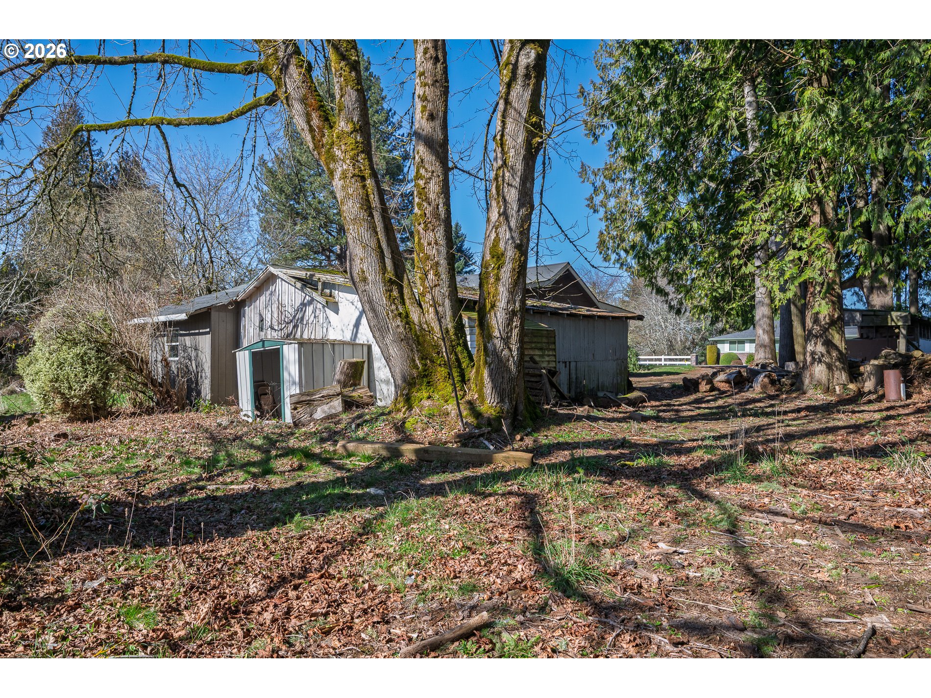 32404 Southeast Pipeline Road Gresham, OR 97080 - Photo 36 of 48 a view of a yard in front of a house with large tree
