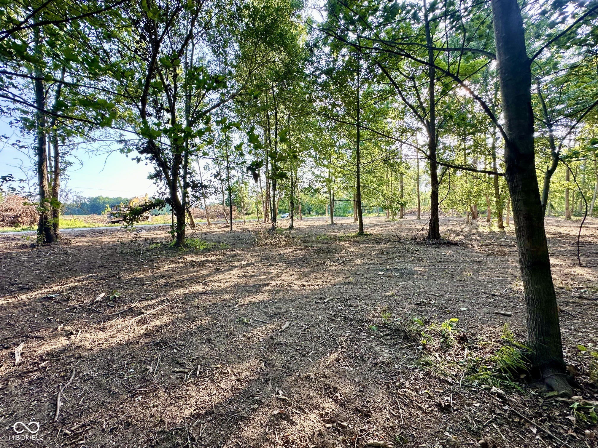 Tract B West Private Rd 775 South Commiskey, IN 47227 - Photo 4 of 11