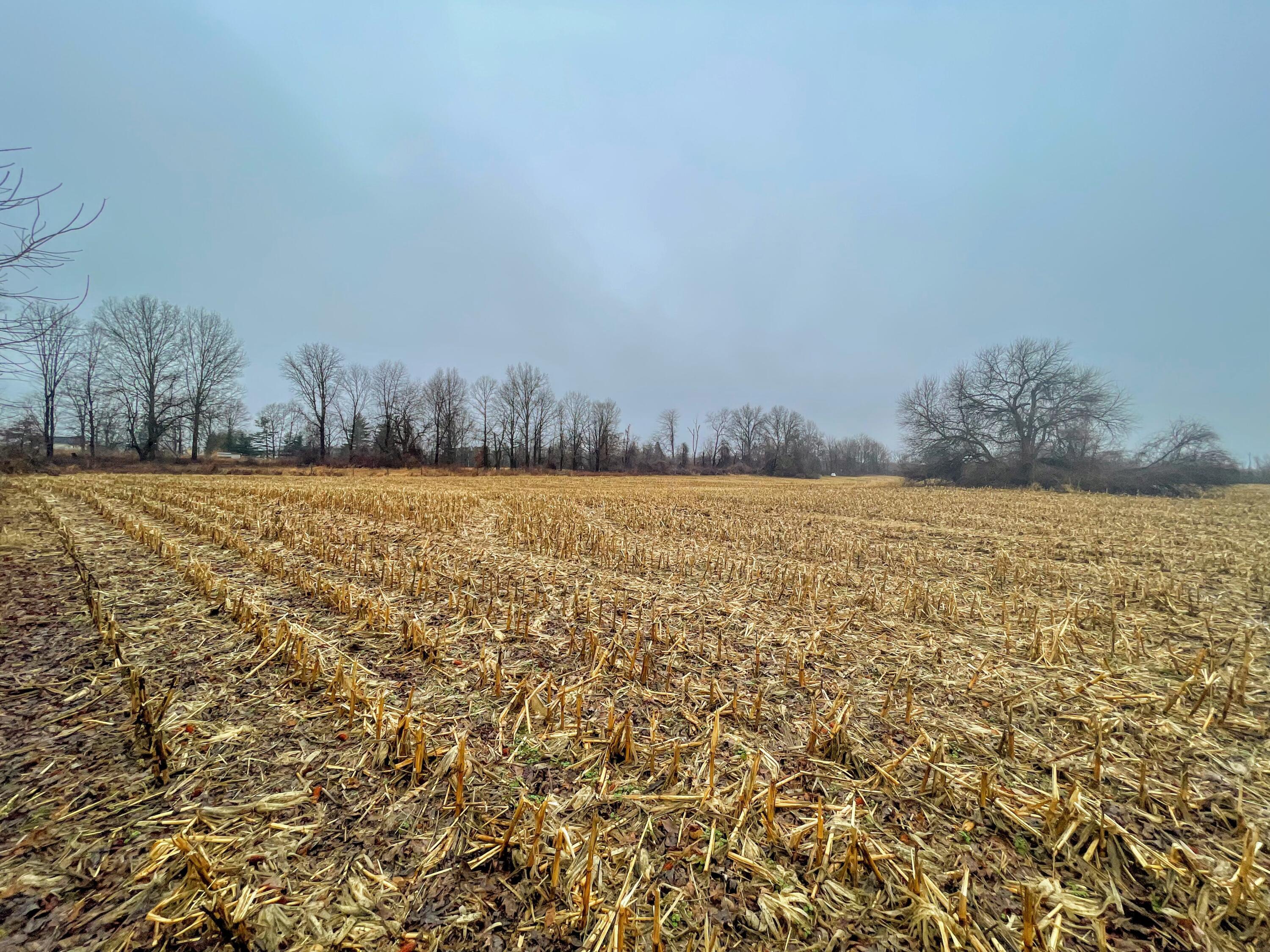 0 York Road Southwest Pataskala, OH 43062 - Photo 9 of 22 2