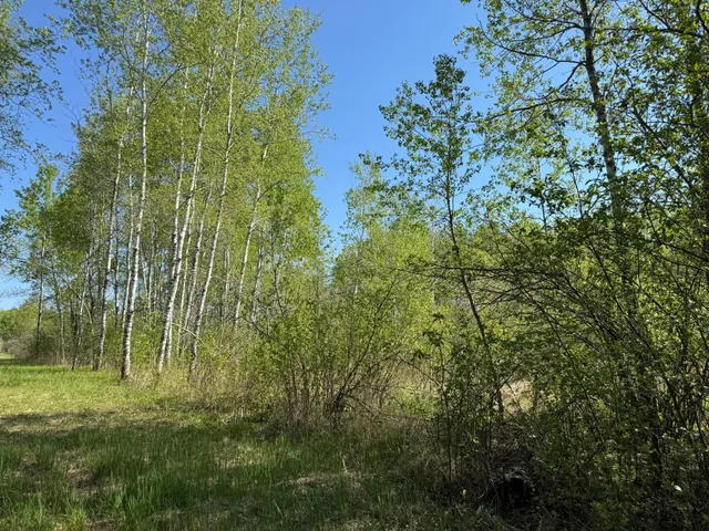 $99,900 | Tbd Skog Road, Kettle River, MN 55757