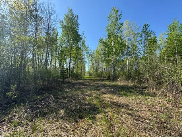 $99,900 | Tbd Skog Road, Kettle River, MN 55757