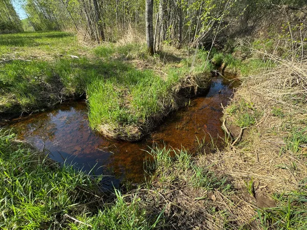 $99,900 | Tbd Skog Road, Kettle River, MN 55757