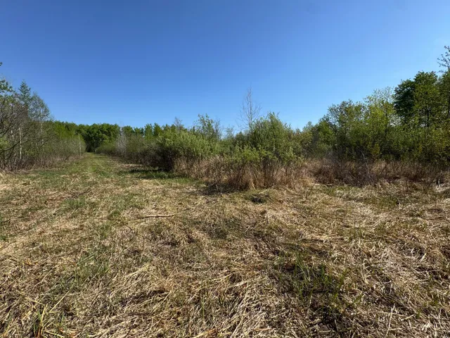 $99,900 | Tbd Skog Road, Kettle River, MN 55757