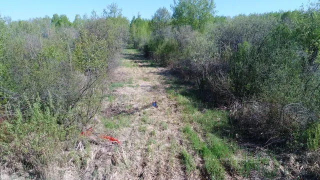 $99,900 | Tbd Skog Road, Kettle River, MN 55757