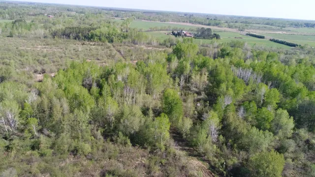 $99,900 | Tbd Skog Road, Kettle River, MN 55757